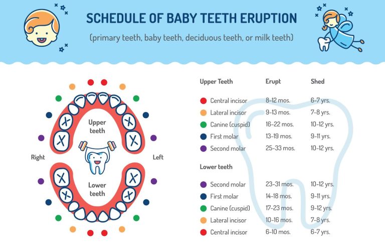tooth